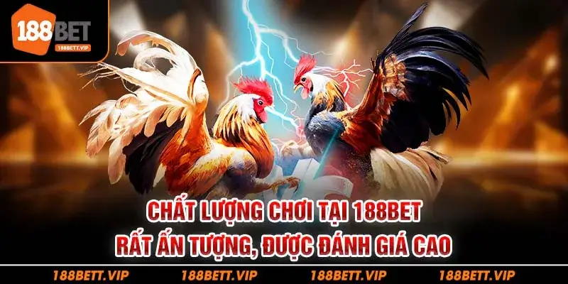 Chất lượng chơi tại 188bet rất ấn tượng, được đánh giá cao