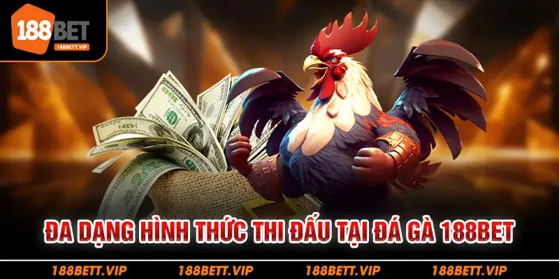 Đa dạng hình thức thi đấu tại đá gà 188BET